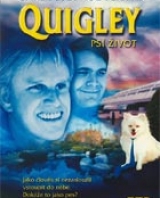Quigley - Psí život